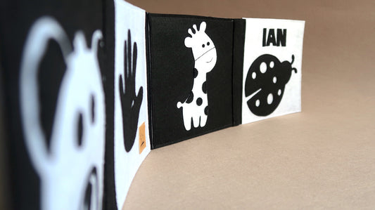 Črno-bela knjiga NUBI