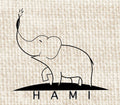 HAMI